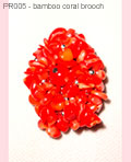 PR005 bamboo coral brooch